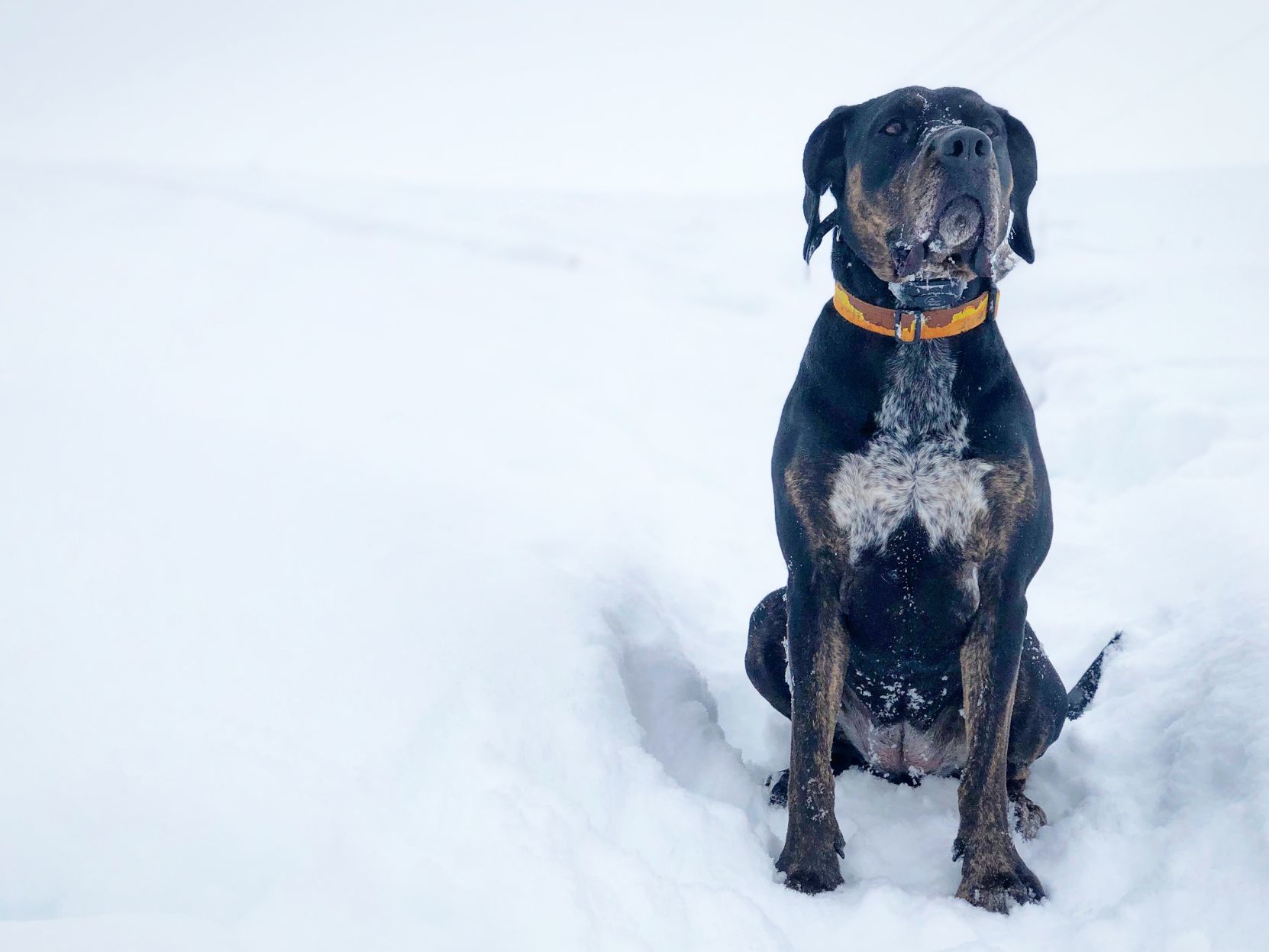 Any trail, during the winter